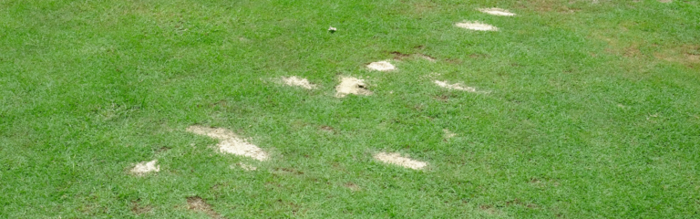 Golf etiquette divots and sand
